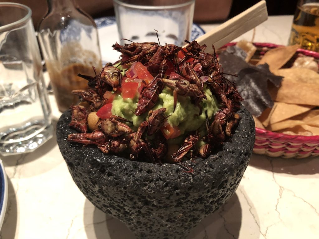 Ivan Zabalza - Chapulines with guacamole