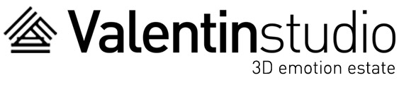 Valentinstudio logo